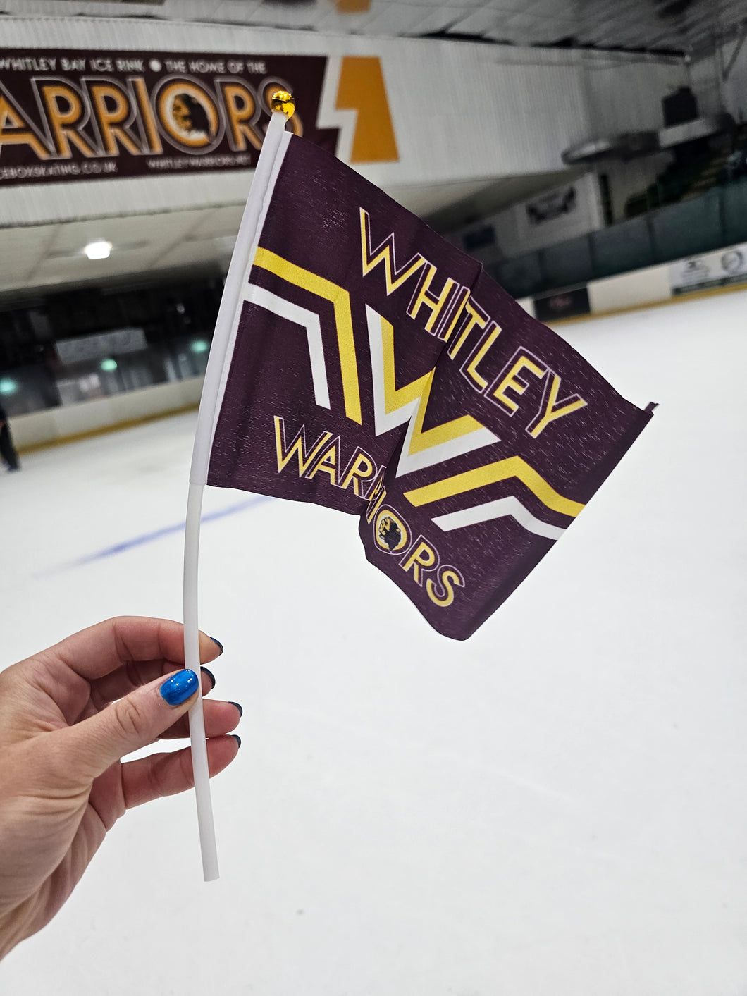 *NEW* Whitley Warriors Mini Flag