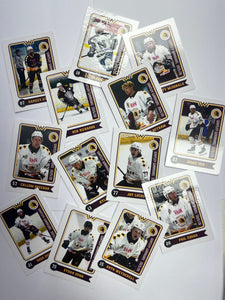 2025/26 Whitley Warriors Team Player Ice Hockey Cards